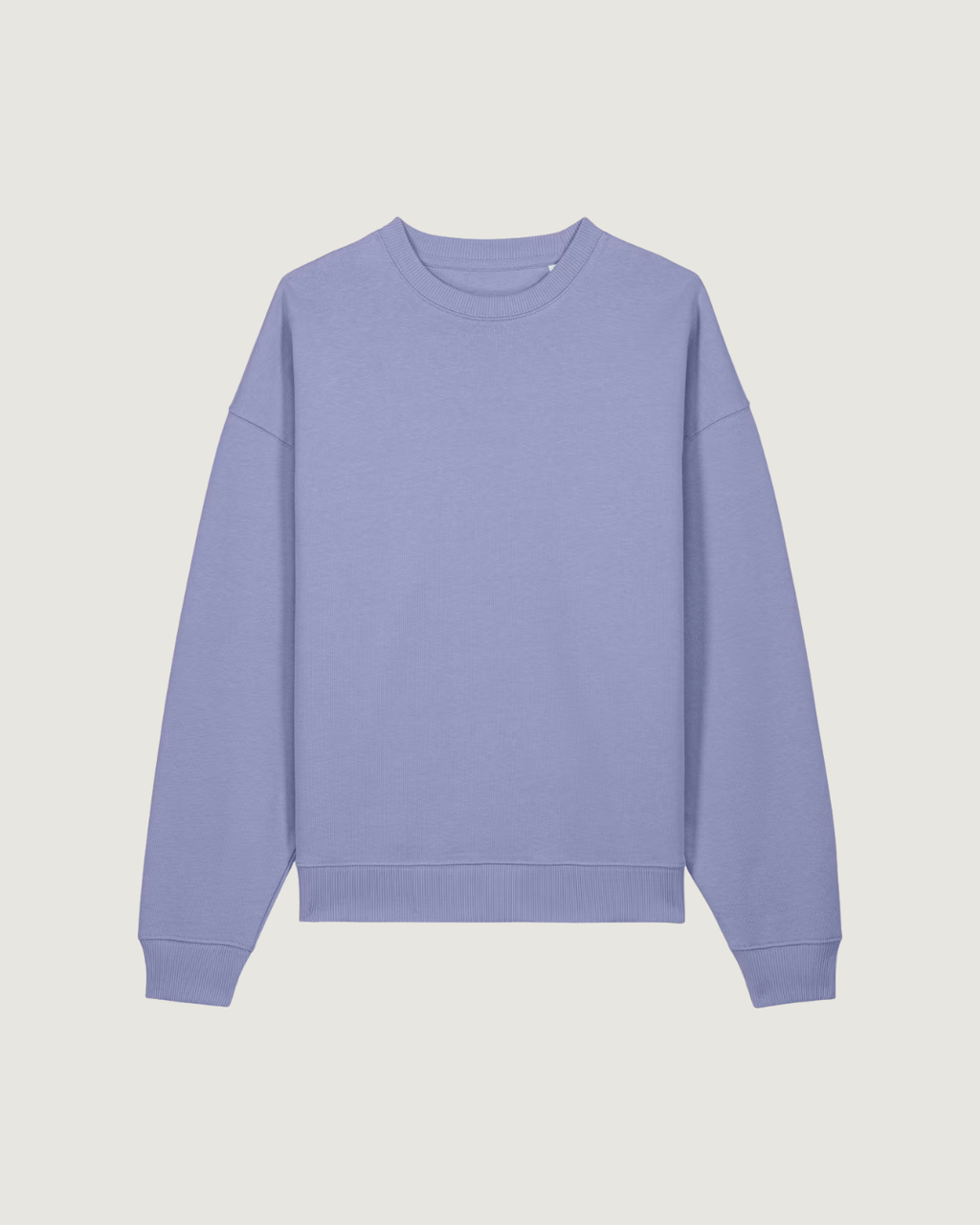 Sweatshirt Radder Oversise Unisexo