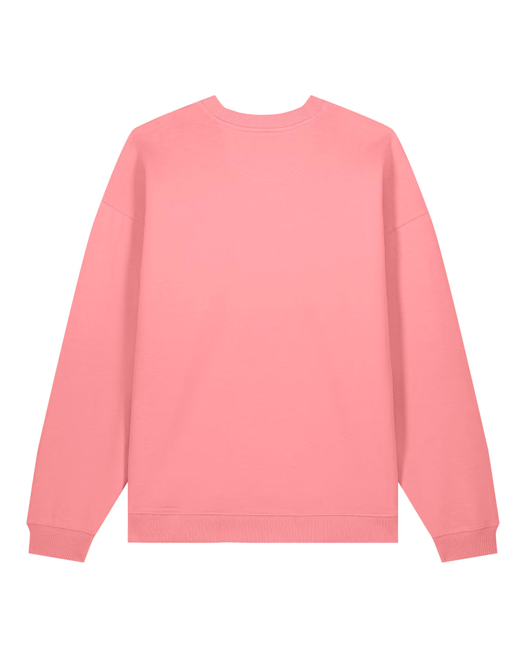 Sweatshirt Radder Oversise Unisexo