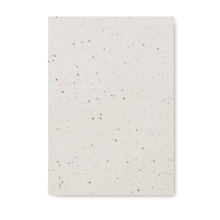 Notebook MO2082-06 Papel de Sementes